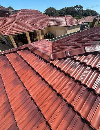 newly ridge capped roof